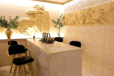 1-bedroom-apartment-for-rent-center-terpsithea-65-m-70035845_06
