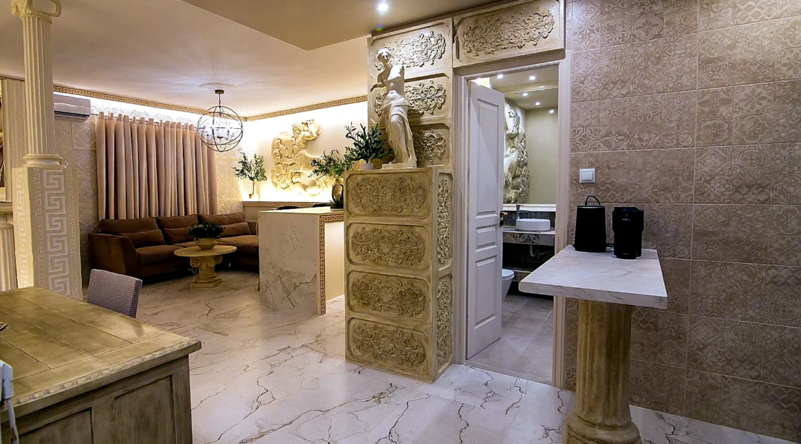 1-bedroom-apartment-for-rent-center-terpsithea-65-m-70035845_11
