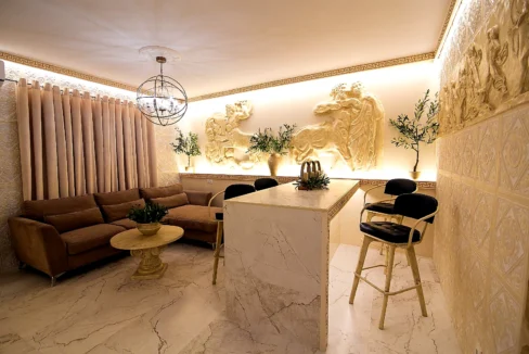 1-bedroom-apartment-for-rent-center-terpsithea-65-m-70035845_21