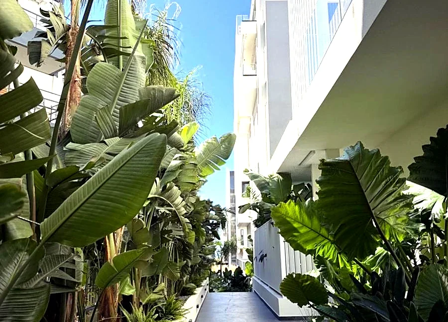 3-bedroom-apartment-for-rent-voula-center-180-m-70669578_19