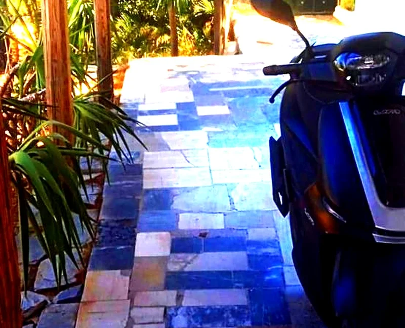 3-bedroom-villa-for-rent-vouliagmeni-center-150-m-96565732_25