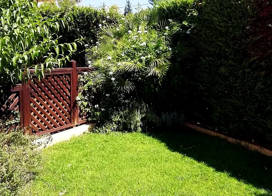 maisonette-for-rent-voula-kalymniotika-245-m-70248026_06